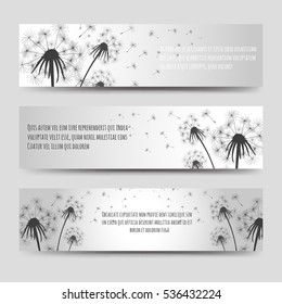 Monochromic horizontal banners set with dandelions and seeds. Vector illustration