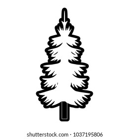 Monocromatic black and white pine tree vector illustration