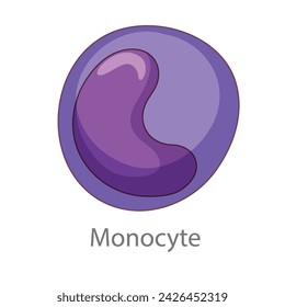 Monocyte. Diagram of common stem cell types. Science banner isolated on background. Medical microscopic molecular conception. Premium Illustration file svg