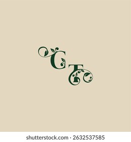 com monograma e conceito de folha de elegante bonito TC casamento orgânico carta logotipo