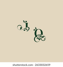 com monograma e conceito de folha de elegante bonito QI casamento carta logotipo orgânico