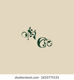 with monogram and leaf concept of elegant beautifull CN wedding organic logo letter