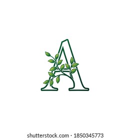 Monogram A Letter Logo Concept Green Nature Green Leaf Vector Design