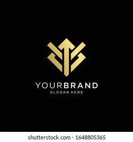 Monogram Letter M Logo Luxury With Thin gold Monogram Outline Contour. Modern Trendy Letter M Design Vector Illustration . Universal geometric symbol