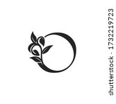 Monogram  Nature Floral O Luxury Letter Logo Concept. Elegance black and white florist in  alphabet font  vector design template.