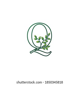 Monogram Q Letter Logo Concept Green Nature Green Leaf Vector Design