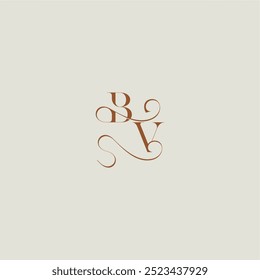 monogram wedding style logo concept initial with thin line BV contemporary modern curvy letter