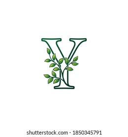 Monogram Y Letter Logo Konzept Green Nature Green Leaf Vectordesign