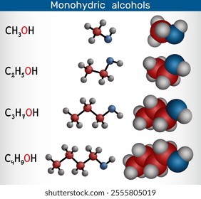 Monohydric Alcohols methanol, ethanol, propanol, butanol. Homologous series, structural and molecular models. Vector illustration