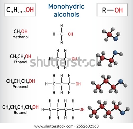 Monohydric Alcohols methanol, ethanol, propanol, butanol. Homologous series, structural and molecular models. Vector illustration.