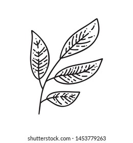 Monoline autumn leaves of tree logo. Outline emblem in linear style. Vector abstract icon for design of natural products, flower shop, cosmetics, ecology concepts, health, spa