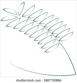 vector del logotipo de la hoja verde beuty de monoline