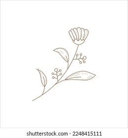 Monoline Element Design Vector Art