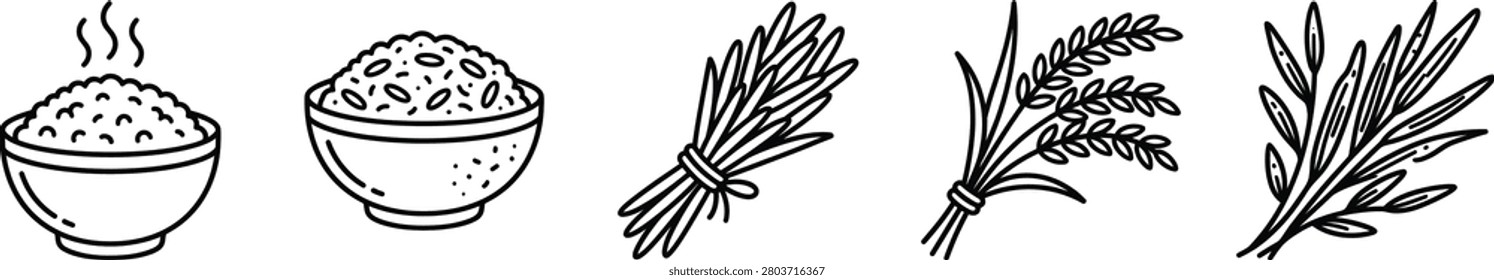 Monoline Rice Icons Set: White, Brown, Jasmine, Basmati, Wild Rice Vector Outline
