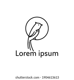 monoline style bird design concept, abstract bird logo isolated on white background