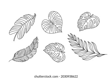 Monoline vector drawing exotic tropical leaf monstera plant. Printable decorative set houseplant for home wall decor poster ornament monoline. Modern draw design graphic illustration line.