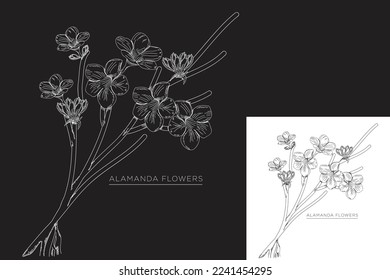 monoline vector illustration alamanda flower sketch negative space.