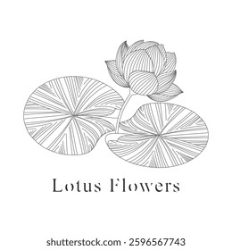	
monoline vector illustration lotus flower sketch negative space.