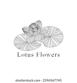 	
monoline vector illustration lotus flower sketch negative space.
