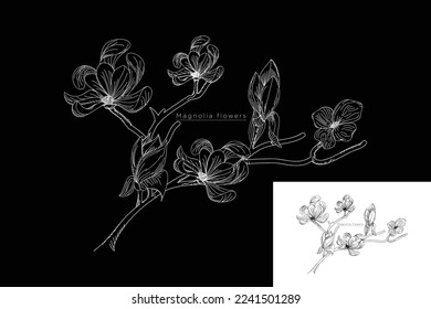 ilustración vectorial monoline strawflowers sketch espacio negativo.