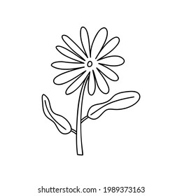Monoline vector stylized spring flower. Scandinavian style illustration art element. Decorative summer floral image for greeting Valentine card or poster, holiday banner.