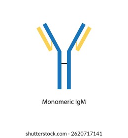 Ilustración esquemática de la estructura de anticuerpos de inmunoglobulina IgM monomérica. Diagrama inmunológico simple.