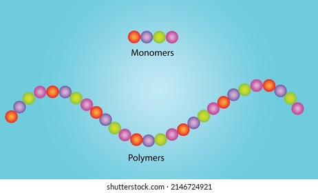 monomers and polymers Repeating units of the monomer as a part of a polymer,