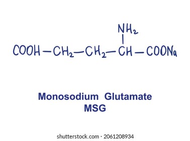 Monosodium glutamate MSG chemical structure. Vector illustration Hand drawn.
