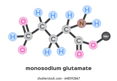 monosodium glutamate structure vector