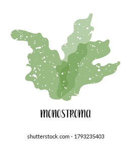 Monostroma, Green algae from the sea. Flat Edible seaweed vegetable vector illustration, isolated on white