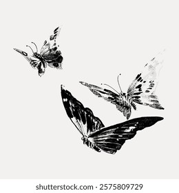 Monotone butterflies animal illustration isolated on white, vector. Vintage butterfly illustration, hand drawn art element. Drawing of butterfly, insect vector.