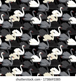 Monotone hand drawn swan bird in the lake seamless pattern in vector EPS10 ,Design for fashion,fabric,web,wallpaper,cover,wrapping and all prints on black