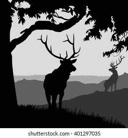 monotonic illustration of two elks on a landscape. silhouette of two elks in the natural environment. 