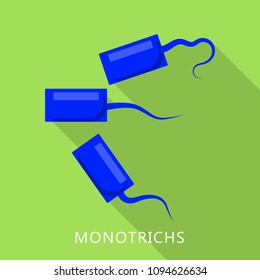 Monotrichs icon. Flat illustration of monotrichs vector icon for web design