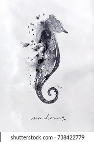 Monotype seahorse drawing with black and white on paper background