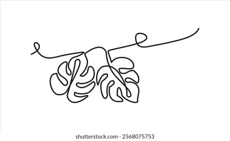 monsetra leaf continuous one line drawing