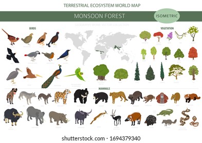 Monsoon forest biome, natural region infographic. Terrestrial ecosystem world map. Animals, birds and vegetations isometric design set. Vector illustration svg