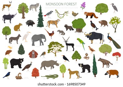 Monsoon forest biome, natural region infographic. Terrestrial ecosystem world map. Animals, birds and vegetations design set. Vector illustration