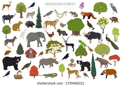 Monsoon forest biome, natural region infographic. Terrestrial ecosystem world map. Animals, birds and vegetations design set. Vector illustration