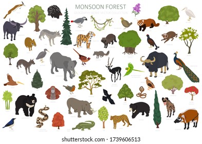 Monsoon Wald Biome, natürliche Region Infografik. Weltkarte des terrestrischen Ökosystems. Tiere, Vögel und Vegetationen isometrischer Aufbau. Vektor-Abbildung