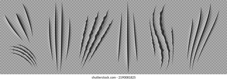 Monster Claw Scratches, Isolated Wild Animal Nail Rips, Tiger, Bear Or Cat Paws Sherds On Transparent Background. Lion Or Beast Breaks, Traces, Marks Texture, Realistic 3d Vector Illustration, Set