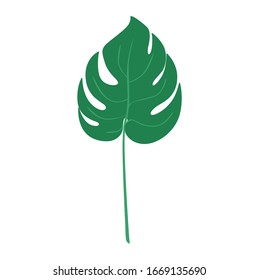 diseño vectorial de plantas de hoja de monstruo