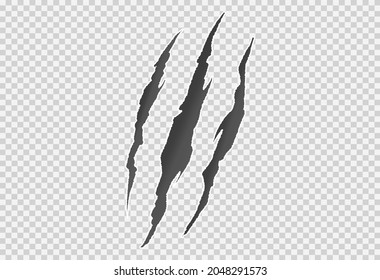 Monster scratch isolated  on png or transparent background, Halloween party texture,element template for poster,brochures,online sale marketing  advertising,vector illustration  