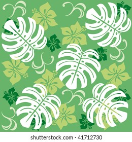 MONSTERA