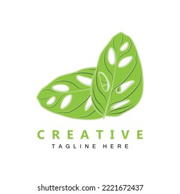 Monstera adansonii Leaf Logo, Green Plant Vector, Tree Vector, Rare Leaf Illustration