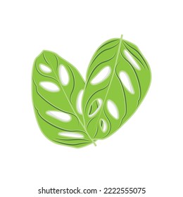 Monstera adansonii Leaf Logo, Green Plant Vector, Tree Vector, Rare Leaf Illustration