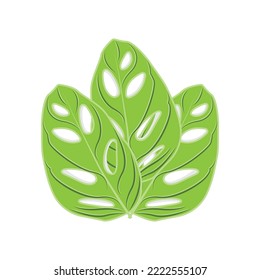 Monstera adansonii Leaf Logo, Green Plant Vector, Tree Vector, Rare Leaf Illustration