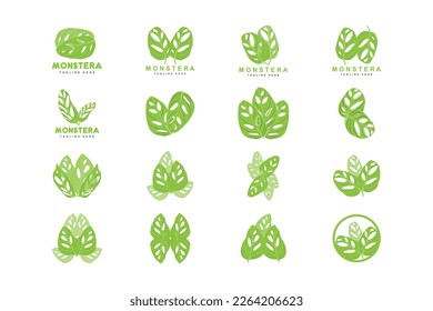 Monstera adansonii Leaf Logo, Green Plant Vector, Tree Vector, Rare Leaf Illustration