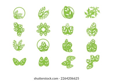 Monstera adansonii Leaf Logo, Green Plant Vector, Tree Vector, Rare Leaf Illustration