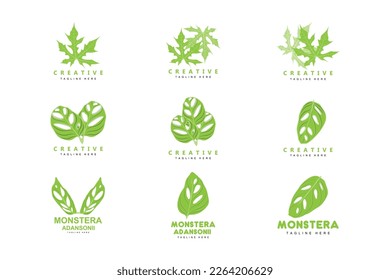 Monstera adansonii Leaf Logo, Green Plant Vector, Tree Vector, Rare Leaf Illustration